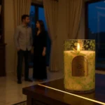 Monet's Garden (383g)